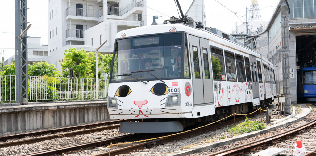 All aboard!